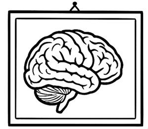 AI genereated, lijntekening van een dwarsdoorsnede van een menselijk brein met een kader eromheen alsof het ingelijst is